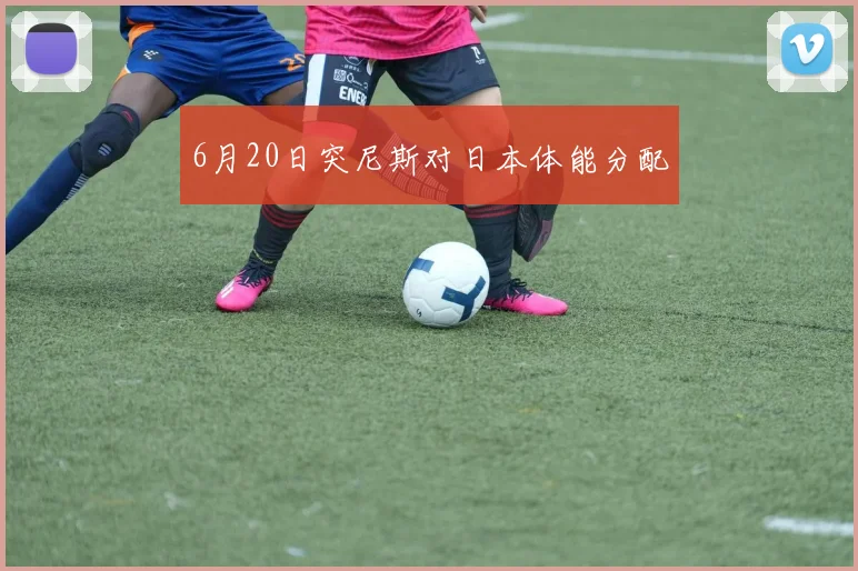 6月20日突尼斯对日本体能分配