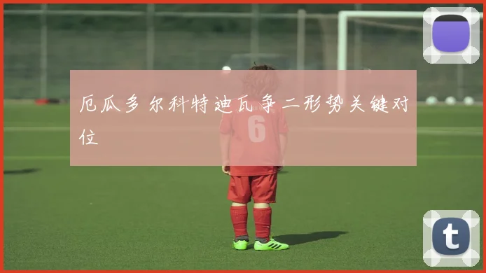 厄瓜多尔科特迪瓦争二形势关键对位