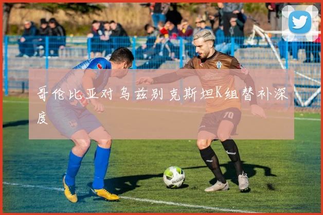 哥伦比亚对乌兹别克斯坦K组替补深度